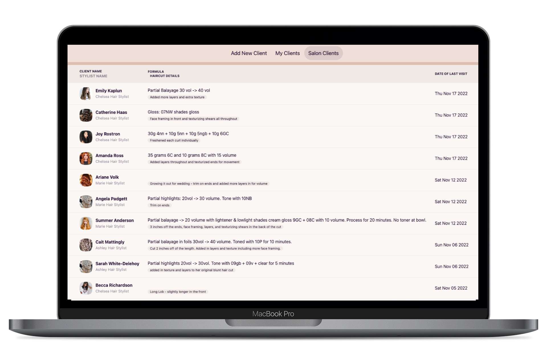 Preview of 'Salon Clients' page on Mac